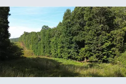 0 Calhoun Road, Dahlonega, GA 30533 - Photo 1