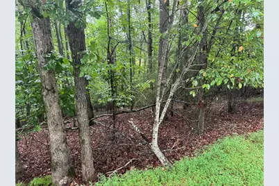 0 Enchanted Woods Drive, Blairsville, GA 30512 - Photo 1