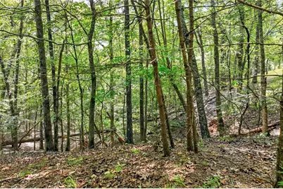 0 Robinson Road, Dahlonega, GA 30533 - Photo 5