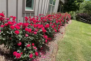 1620 Pond Fork Church Rd, Talmo, GA 30575 - Photo 43