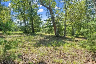 00 Helton Road, Cleveland, GA 30528 - Photo 17