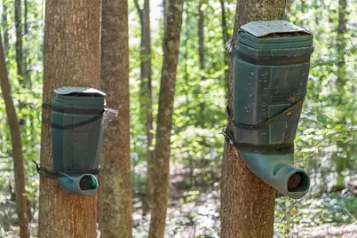 00 Helton Road, Cleveland, GA 30528 - Photo 39