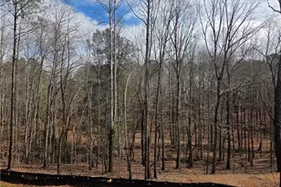 500 Benson Meadows Dr, Dallas, GA 30157 - Photo 31