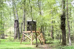 91 Goodlin Rd, Palmetto, GA 30268 - Photo 63