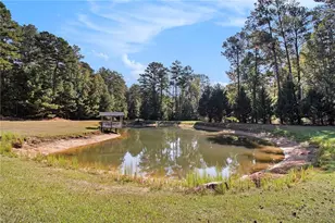 91 Goodlin Rd, Palmetto, GA 30268 - Photo 47