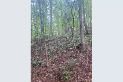 27 Mountain Creek Hollow Drive, Talking Rock, GA 30175 - Photo 13