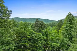 2930 Hicks Gap Rd, Blairsville, GA 30512 - Photo 47