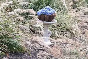 197 Evecliff Dr, Dallas, GA 30132 - Photo 37