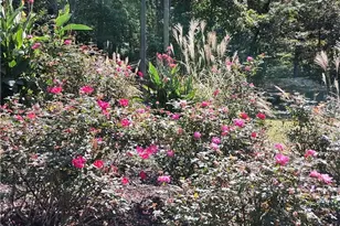 197 Evecliff Dr, Dallas, GA 30132 - Photo 33
