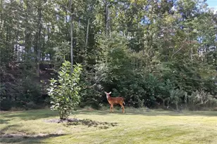 197 Evecliff Dr, Dallas, GA 30132 - Photo 45