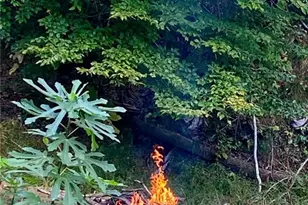 197 Evecliff Dr, Dallas, GA 30132 - Photo 43