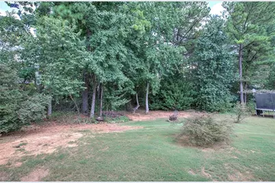 155 Mercer Lane, Cartersville, GA 30120 - Photo 49