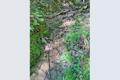 1556 Syrup Mill Road, Dahlonega, GA 30533 - Photo 17