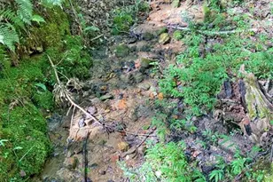 1556 Syrup Mill Rd, Dahlonega, GA 30533 - Photo 17