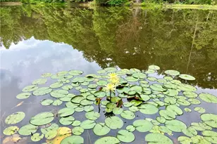 [Address not provided], Lawrenceville, GA 30046 - Photo 35