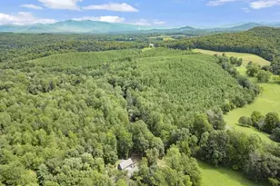 530 Burleson Rd, Ellijay, GA 30536 - Photo 81