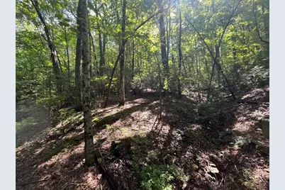 312 Wildcat Drive, Big Canoe, GA 30143 - Photo 5