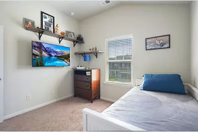 317 Rippling Drive, Ball Ground, GA 30107 - Photo 41