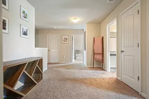 317 Rippling Dr, Ball Ground, GA 30107 - Photo 37