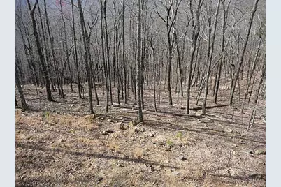 101 Deer Run, Big Canoe, GA 30143 - Photo 7