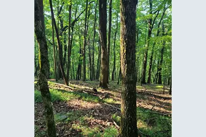 101 Deer Run, Big Canoe, GA 30143 - Photo 3