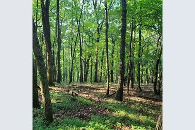 101 Deer Run, Big Canoe, GA 30143 - Photo 5