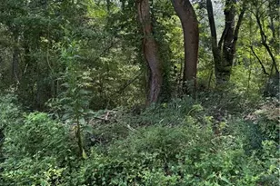 2924 Raintree Dr SE, Conyers, GA 30094 - Photo 1