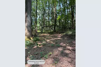 6180 Burnt Mountain Road, Ellijay, GA 30536 - Photo 5