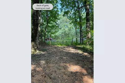 6180 Burnt Mountain Road, Ellijay, GA 30536 - Photo 9