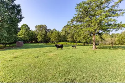 195 Connesena Road, Kingston, GA 30145 - Photo 15