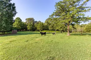 195 Connesena Rd, Kingston, GA 30145 - Photo 15