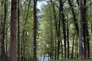 980 Buckhorn E, Atlanta, GA 30350 - Photo 45