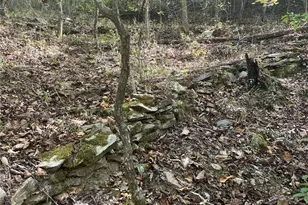 167 Jasmine Dr NE, Ranger, GA 30734 - Photo 31