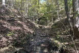 167 Jasmine Dr NE, Ranger, GA 30734 - Photo 29