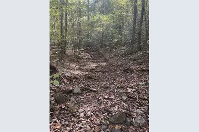 167 Jasmine Drive NE, Ranger, GA 30734 - Photo 27