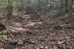 167 Jasmine Dr NE, Ranger, GA 30734 - Photo 27