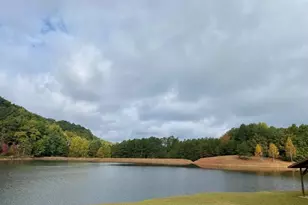 167 Jasmine Dr NE, Ranger, GA 30734 - Photo 41