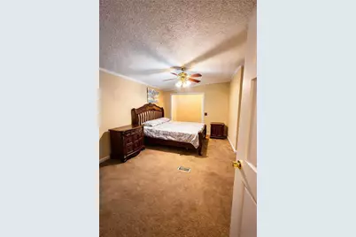 180 Alonzo Cain Road, Dahlonega, GA 30533 - Photo 19