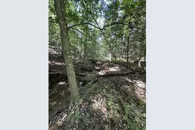 180 Alonzo Cain Road, Dahlonega, GA 30533 - Photo 23