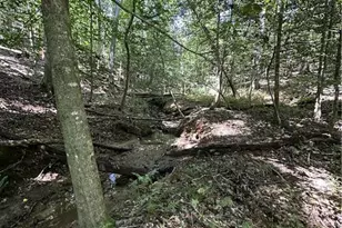 180 Alonzo Cain Rd, Dahlonega, GA 30533 - Photo 23