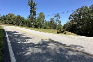 180 Alonzo Cain Rd, Dahlonega, GA 30533 - Photo 29