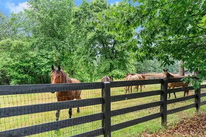 7215 Kelly Bridge Road, Dawsonville, GA 30534 - Photo 55