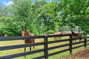 7215 Kelly Bridge Rd, Dawsonville, GA 30534 - Photo 55