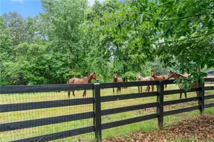 7215 Kelly Bridge Rd, Dawsonville, GA 30534 - Photo 53