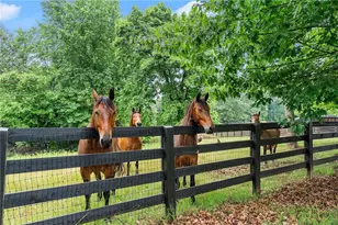 7215 Kelly Bridge Rd, Dawsonville, GA 30534 - Photo 57