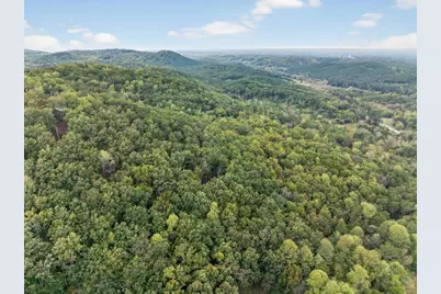 256 Robin Hood Lane NE, Fairmount, GA 30139 - Photo 51