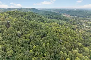 256 Robin Hood Ln N E, Fairmount, GA 30139 - Photo 51