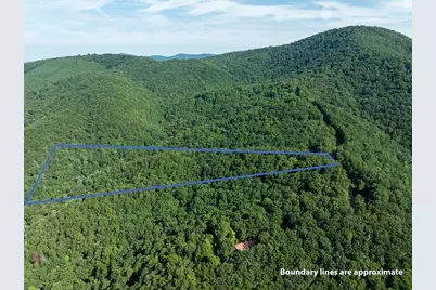 Lot 9 Brushy Top Drive, Chatsworth, GA 30705 - Photo 1