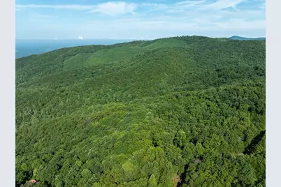 Lot 9 Brushy Top Drive, Chatsworth, GA 30705 - Photo 9