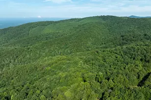 Lot 9 Brushy Top Dr, Chatsworth, GA 30705 - Photo 9